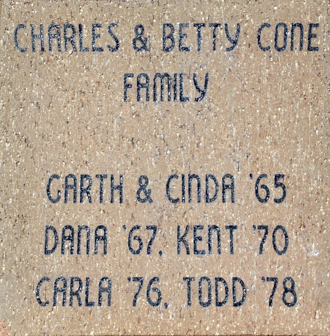 Cone Family Cone Family