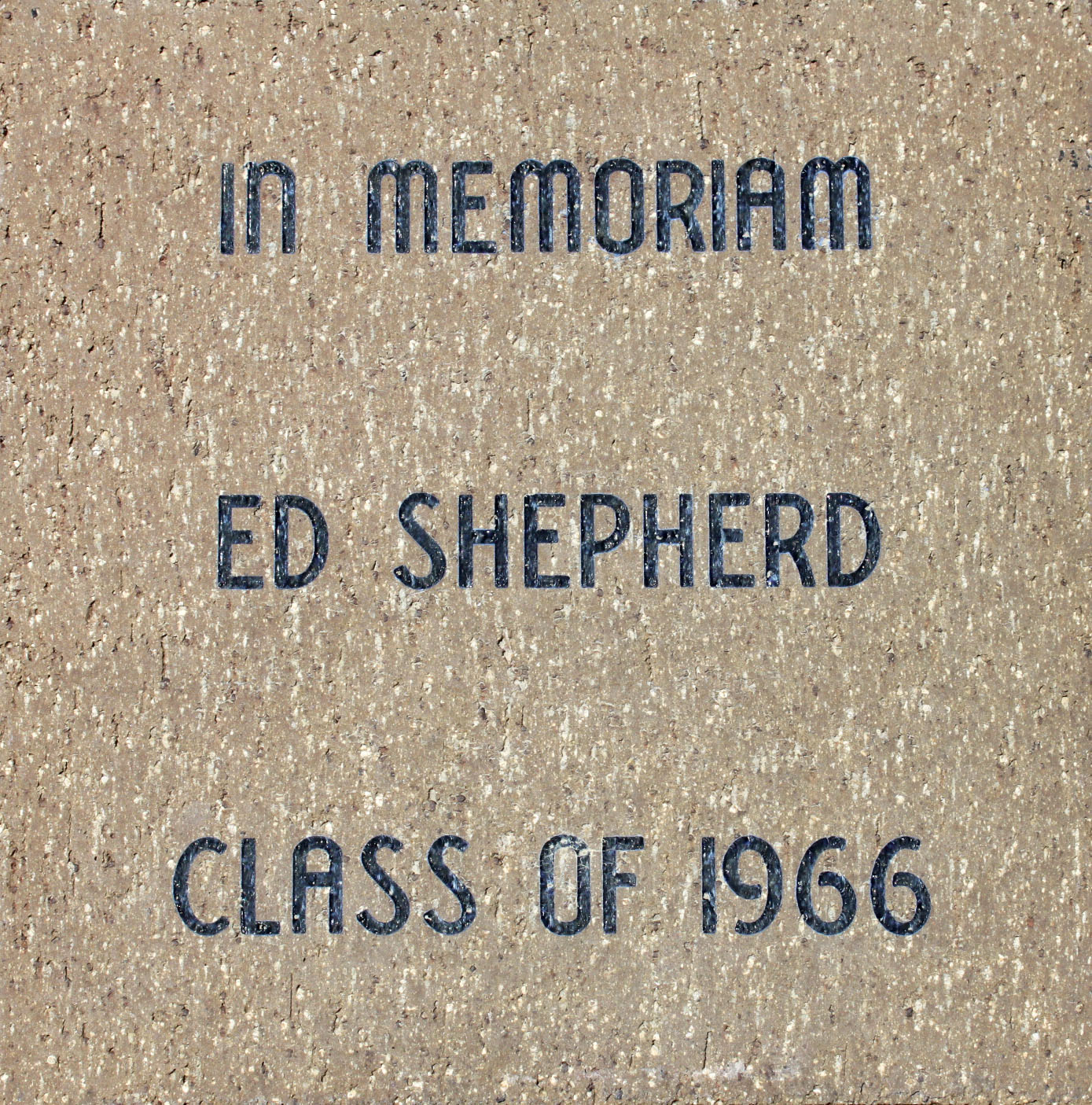 Shepherd, Ed Shepherd, Ed