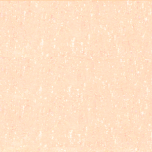 Alumni Plaza Engraved Paver