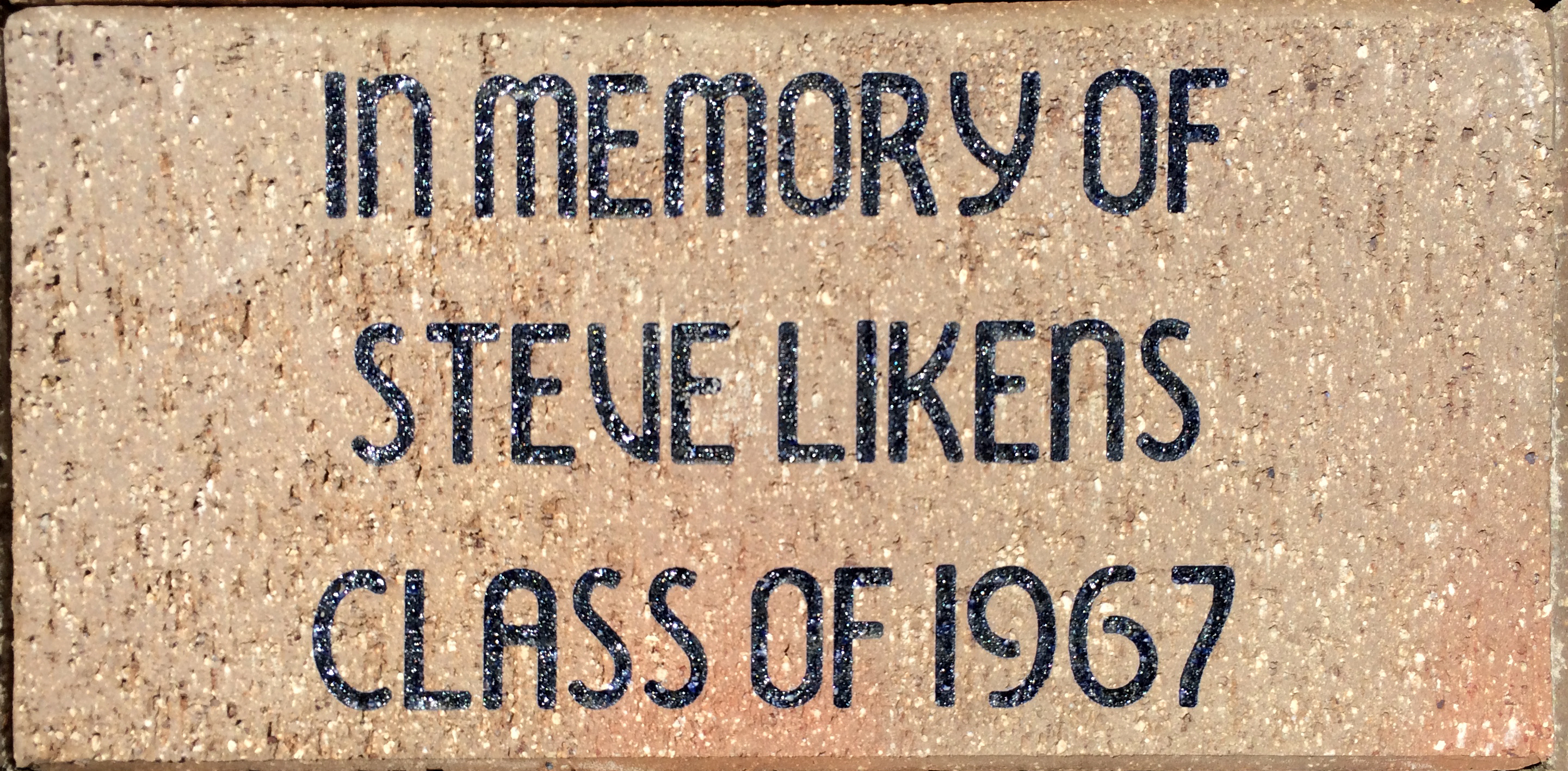 Steve Likens Steve Likens